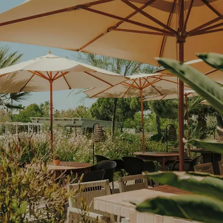 Sabatic Mar, Barcelona, A Tribute Portfolio
