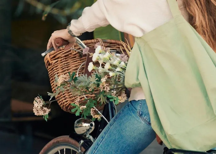 Sabatic Mar, Barcelona, A Tribute Portfolio